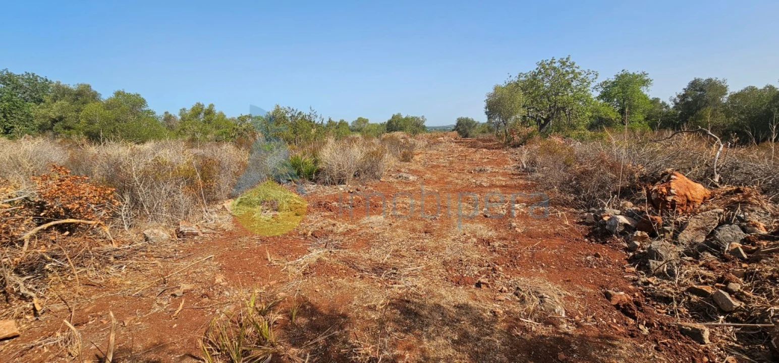 Terreno Agricola ou Rústico para Venda em São Bartolomeu de Messines Foto 4