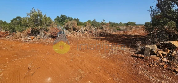 Terreno Agricola ou Rústico para Venda em São Bartolomeu de Messines
