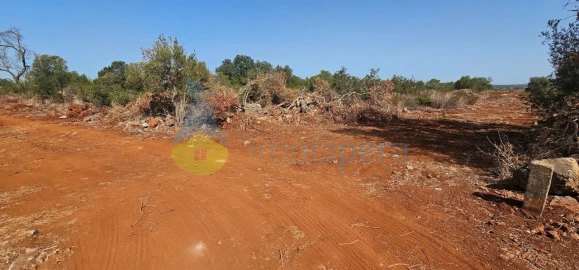 Terreno Agricola ou Rústico para Venda em São Bartolomeu de Messines
