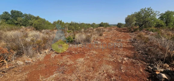 Terreno Agricola ou Rústico para Venda em São Bartolomeu de Messines