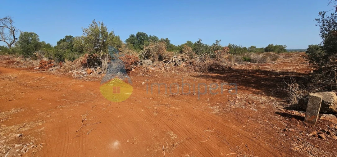 Terreno Agricola ou Rústico para Venda em São Bartolomeu de Messines Foto 2