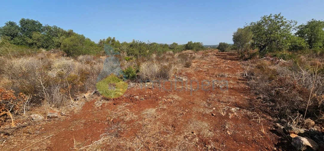 Terreno Agricola ou Rústico para Venda em São Bartolomeu de Messines Foto 3