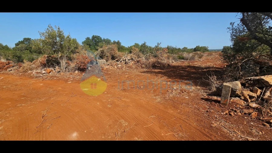 Terreno Agricola ou Rústico para Venda em São Bartolomeu de Messines