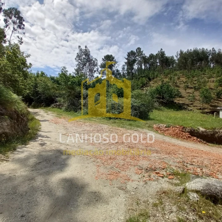 Terreno Agricola ou Rústico para Venda em Vieira do Minho Foto 5