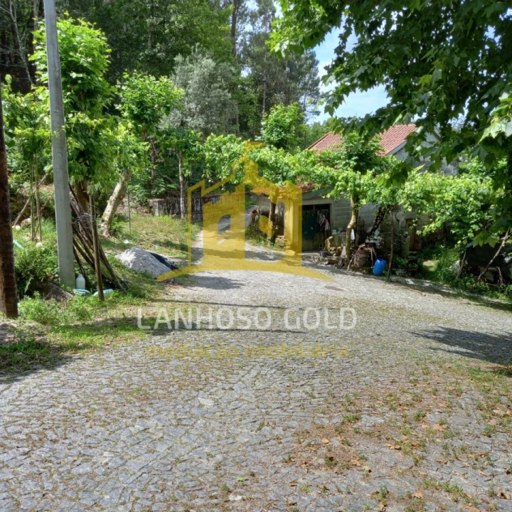 Terreno Agricola ou Rústico para Venda em Vieira do Minho Foto 6