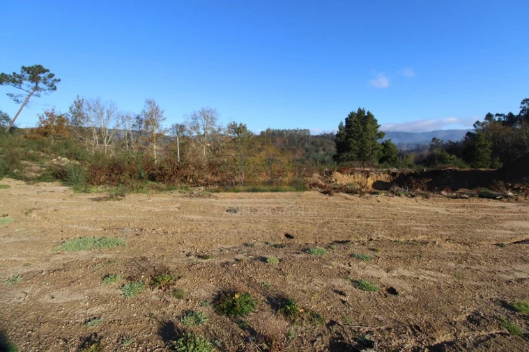 Terreno para Venda em Águas Santas e Moure Foto 6