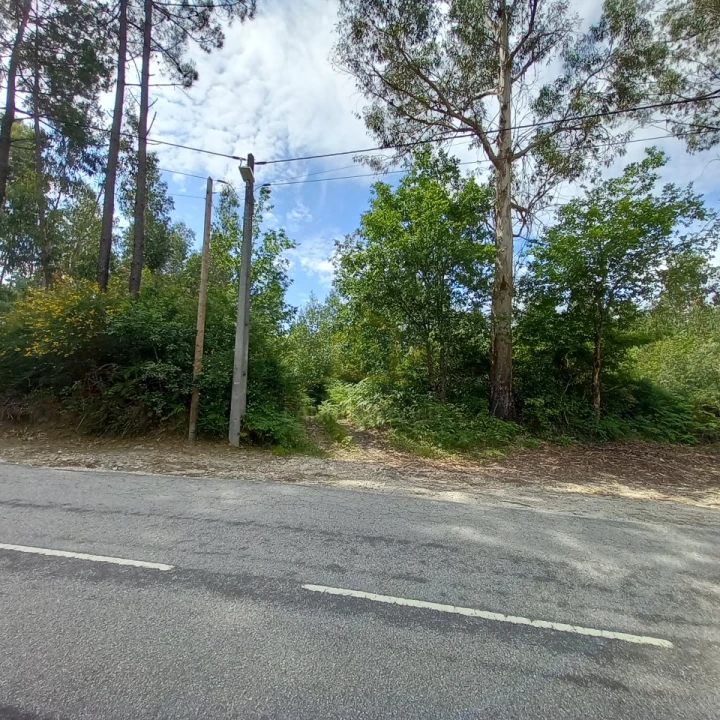 Terreno Agricola ou Rústico para Venda em Vieira do Minho Foto 1