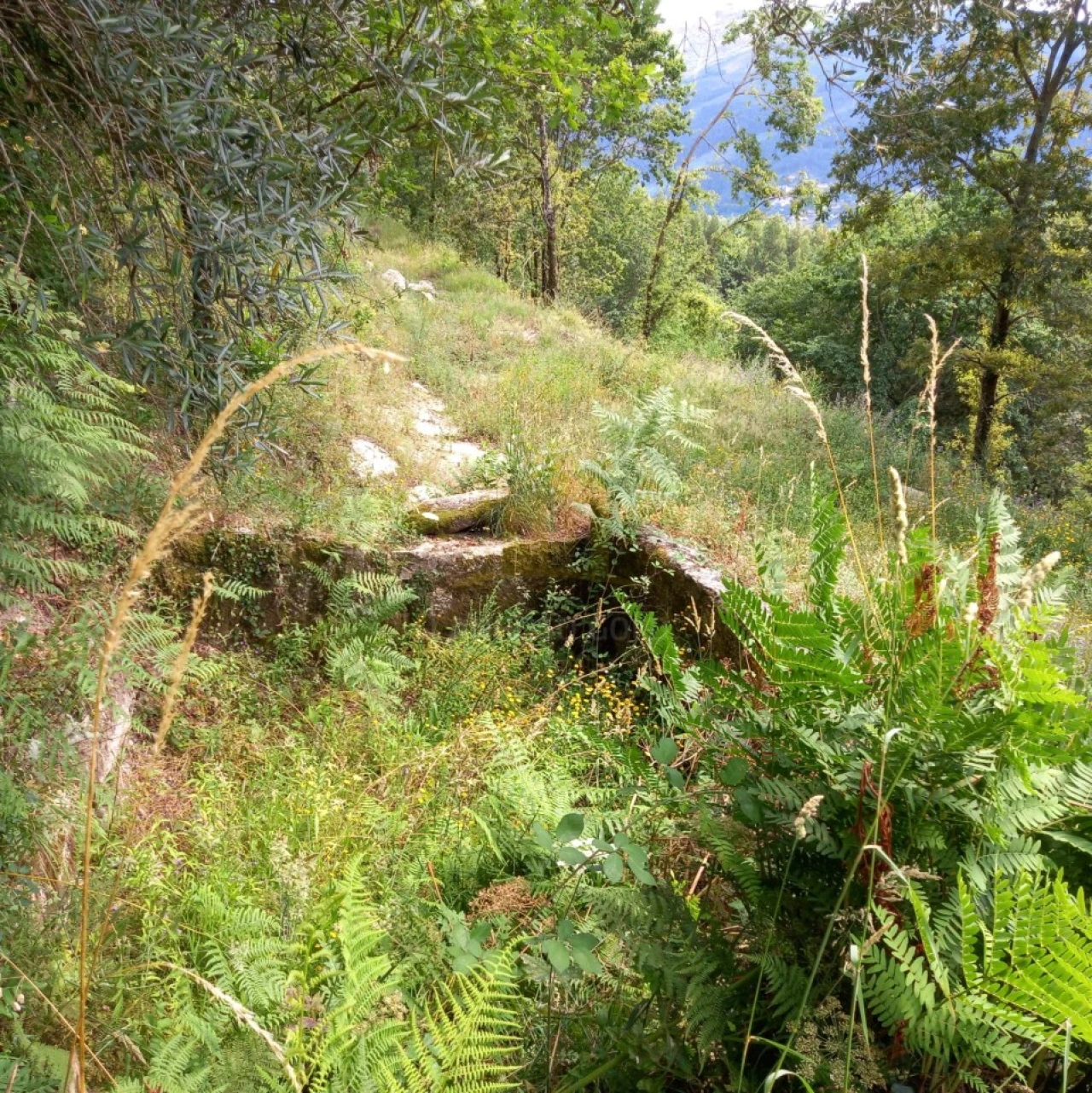 Terreno para Venda em Valdosende Foto 5