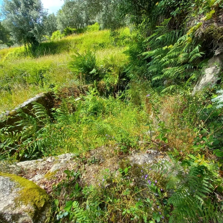 Terreno para Venda em Valdosende Foto 6