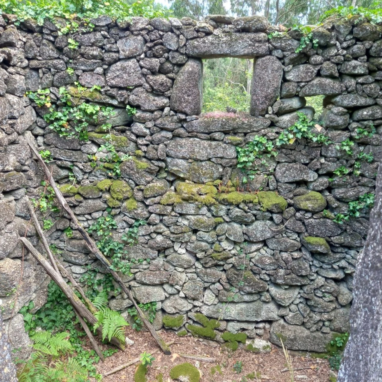 Terreno para Venda em Valdosende Foto 8