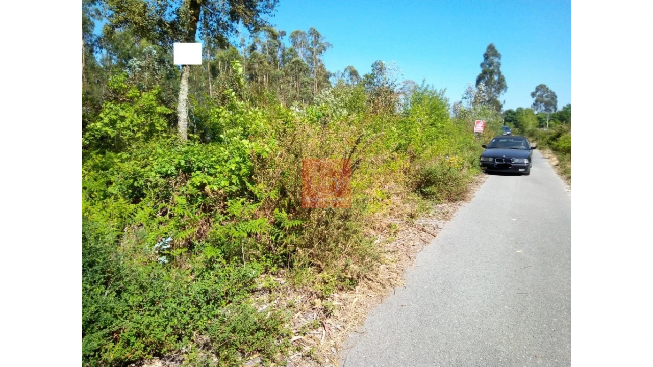 Terreno para Venda em Vila Cova e Feitos Foto 9