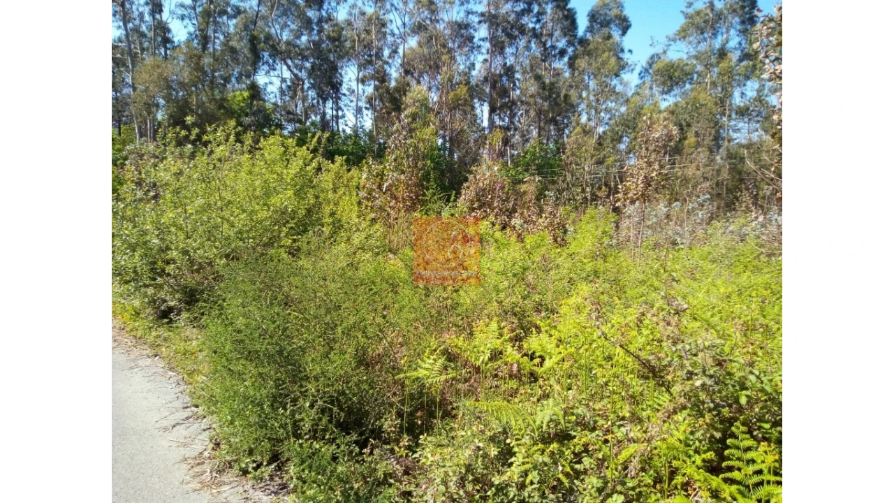 Terreno para Venda em Vila Cova e Feitos Foto 10