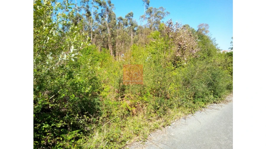 Terreno para Venda em Vila Cova e Feitos Foto 5