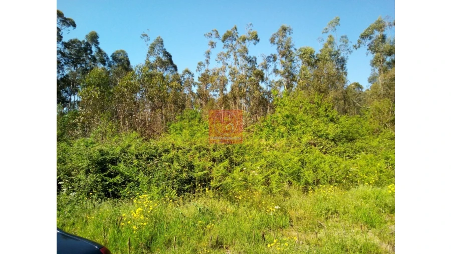 Terreno para Venda em Vila Cova e Feitos Foto 11