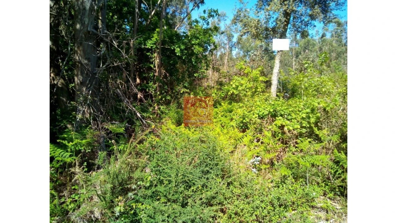 Terreno para Venda em Vila Cova e Feitos Foto 4