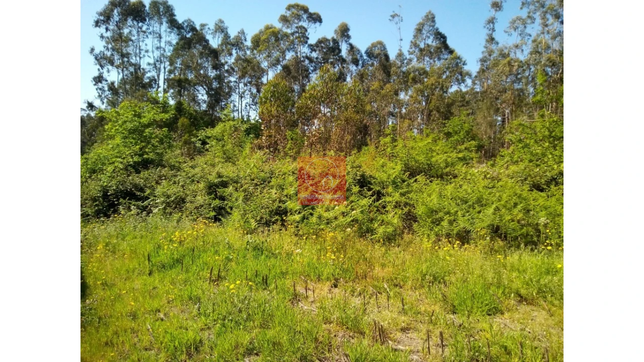 Terreno para Venda em Vila Cova e Feitos Foto 6
