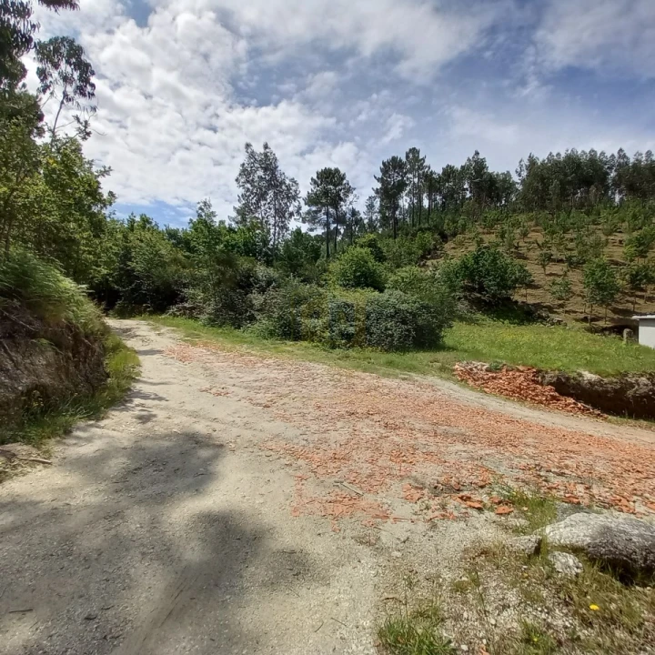 Terreno Agricola ou Rústico para Venda em Vieira do Minho Foto 13
