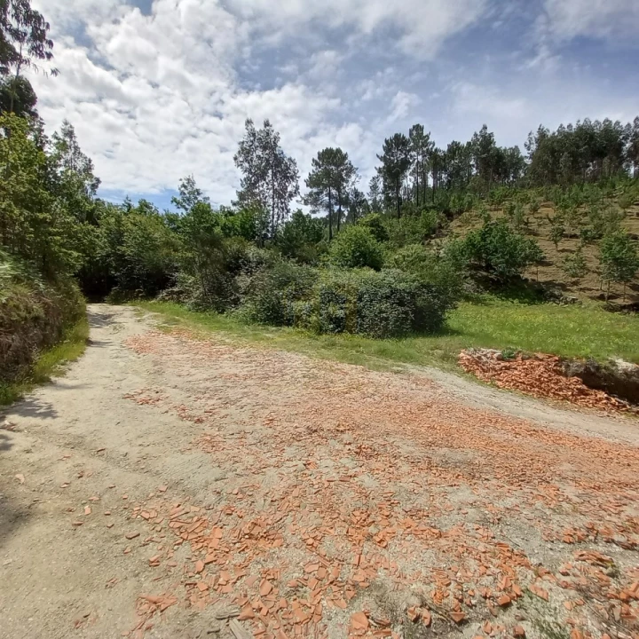 Terreno Agricola ou Rústico para Venda em Vieira do Minho Foto 15