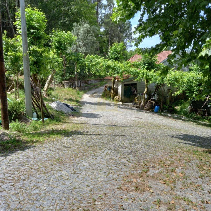 Terreno Agricola ou Rústico para Venda em Vieira do Minho Foto 17