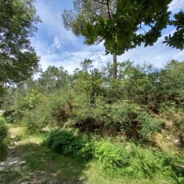 Terreno Agricola ou Rústico para Venda em Vieira do Minho