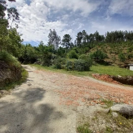 Terreno Agricola ou Rústico para Venda em Vieira do Minho