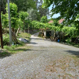Terreno Agricola ou Rústico para Venda em Vieira do Minho