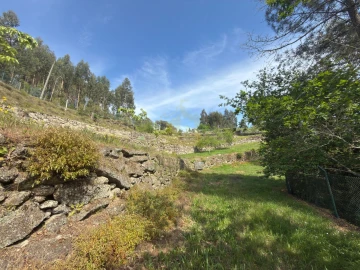 Moradia T5 para Venda em Vieira do Minho