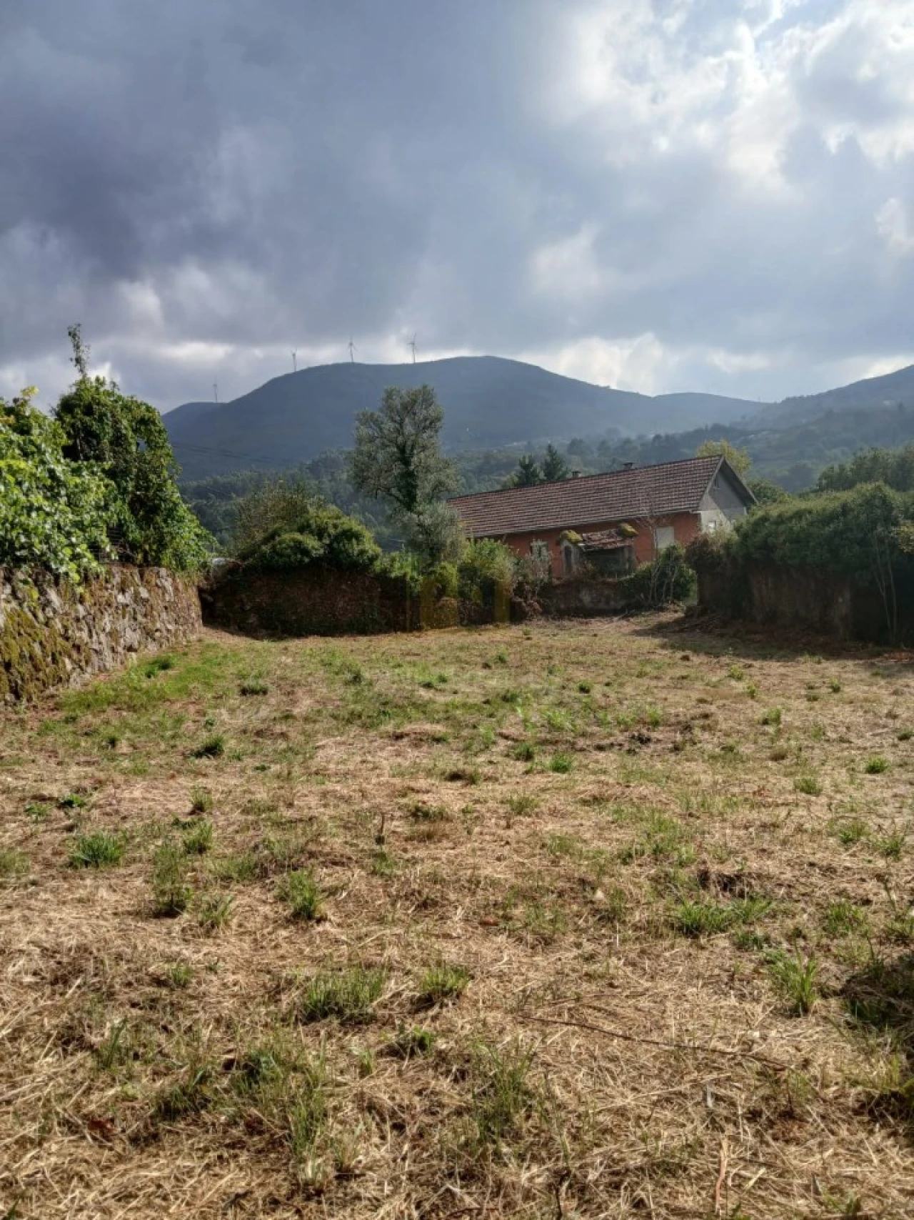 Terreno para Venda em Ruivães e Campos Foto 7