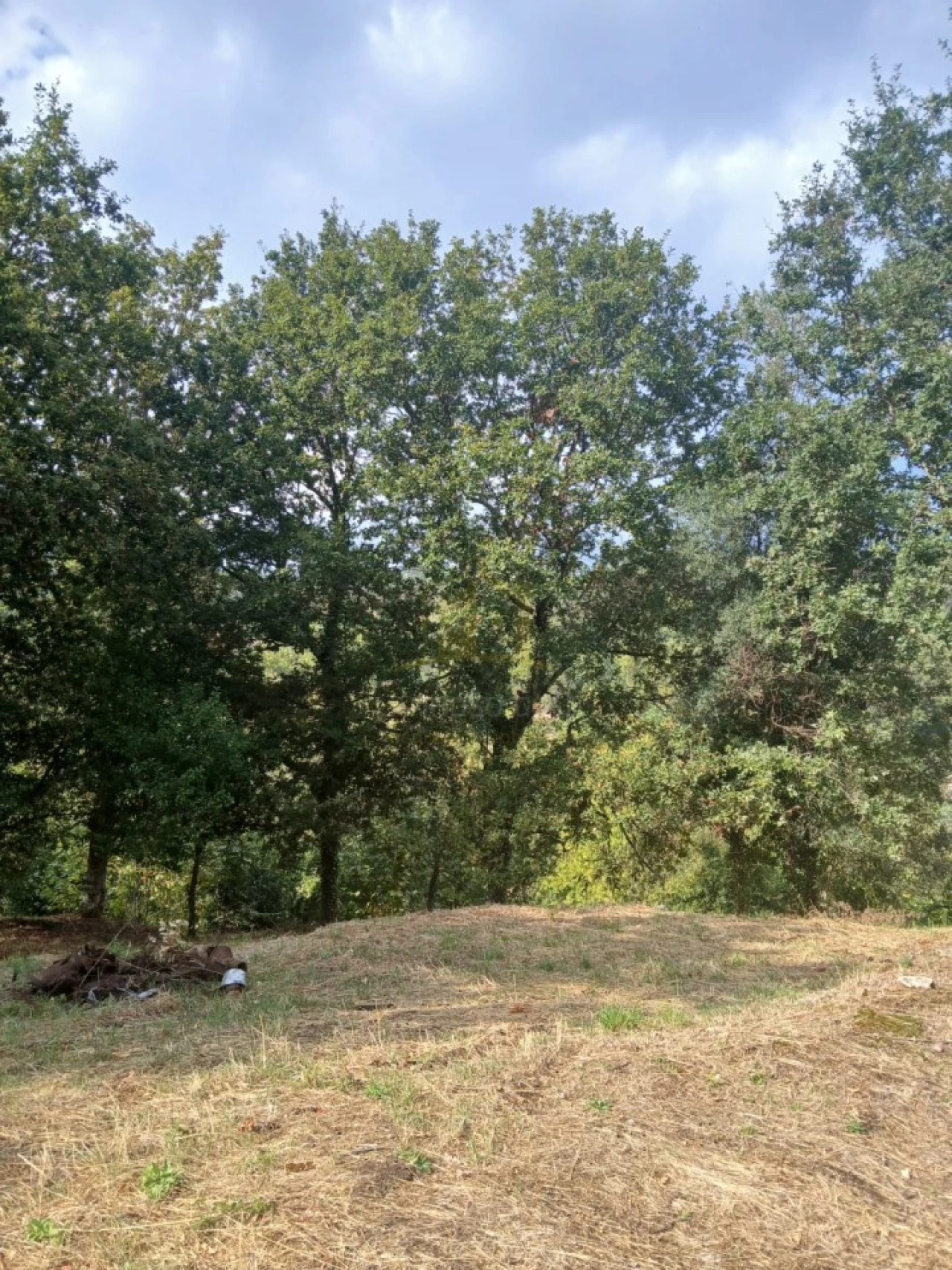 Terreno para Venda em Ruivães e Campos Foto 8