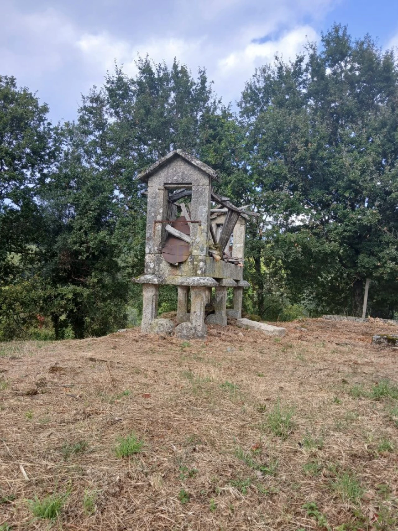 Terreno para Venda em Ruivães e Campos Foto 9