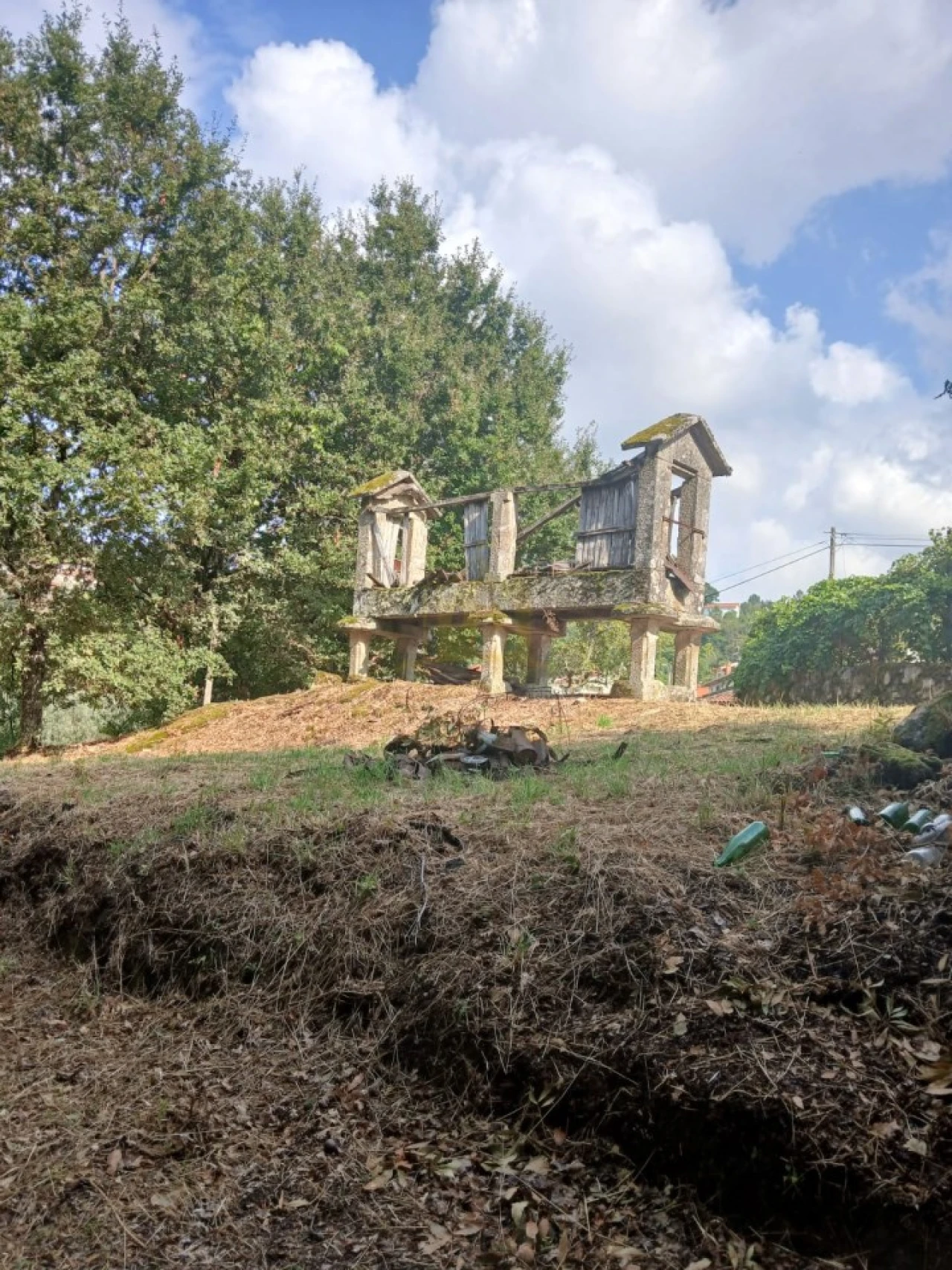 Terreno para Venda em Ruivães e Campos Foto 12