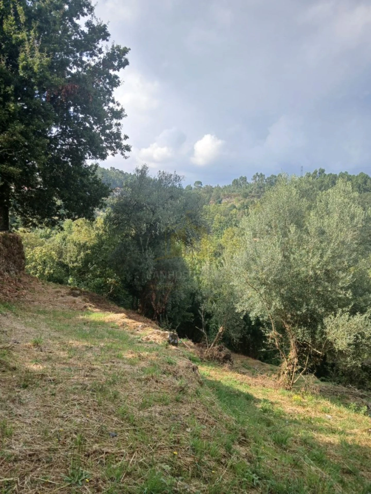 Terreno para Venda em Ruivães e Campos Foto 13