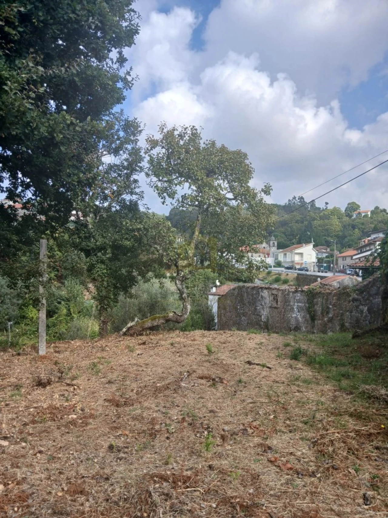 Terreno para Venda em Ruivães e Campos Foto 14