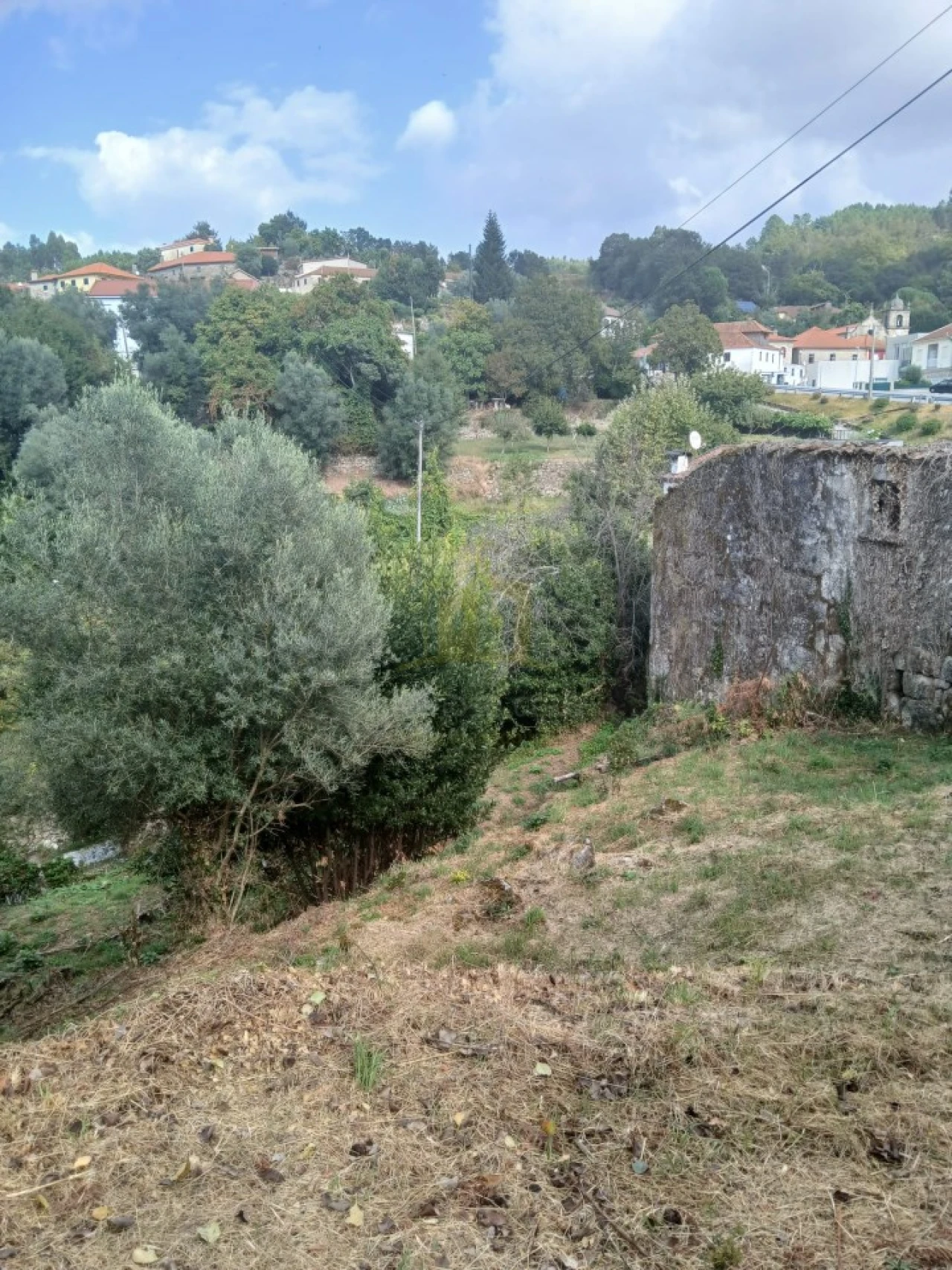 Terreno para Venda em Ruivães e Campos Foto 15