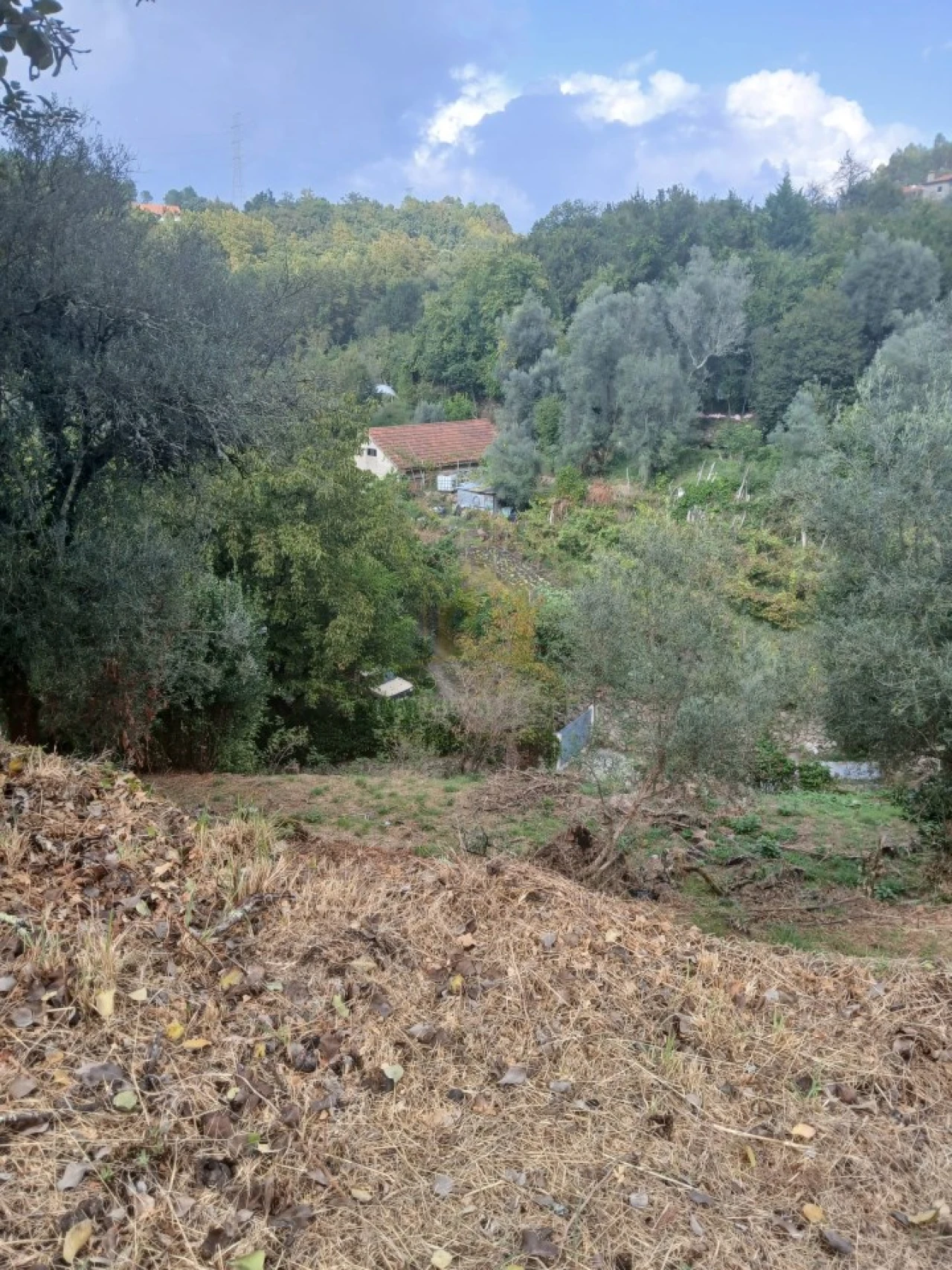 Terreno para Venda em Ruivães e Campos Foto 16