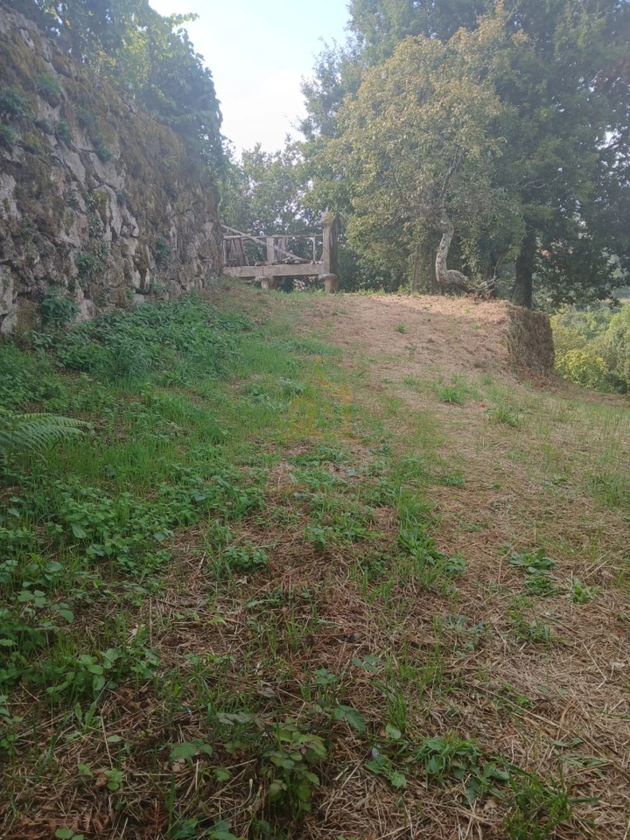 Terreno para Venda em Ruivães e Campos Foto 17