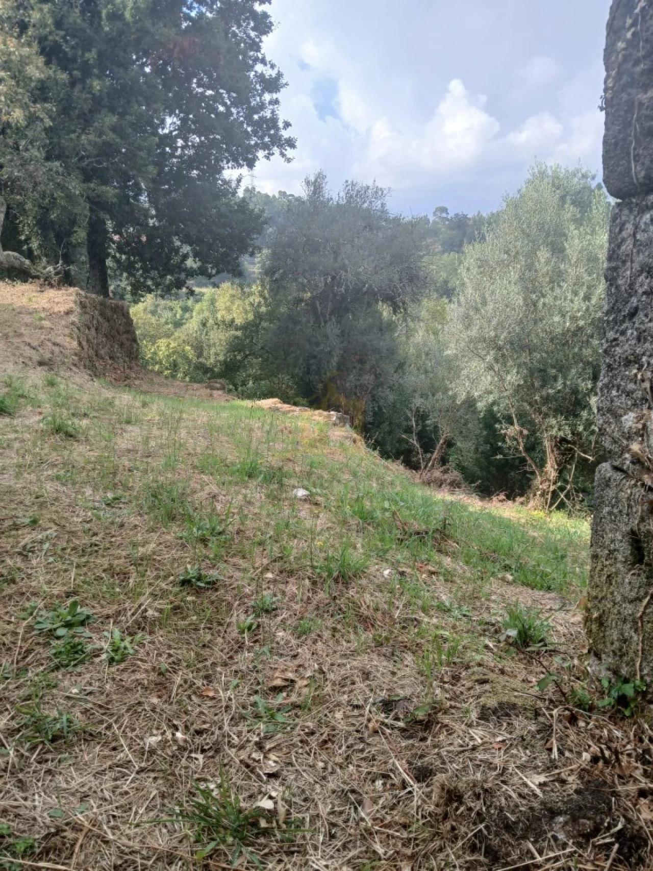 Terreno para Venda em Ruivães e Campos Foto 18