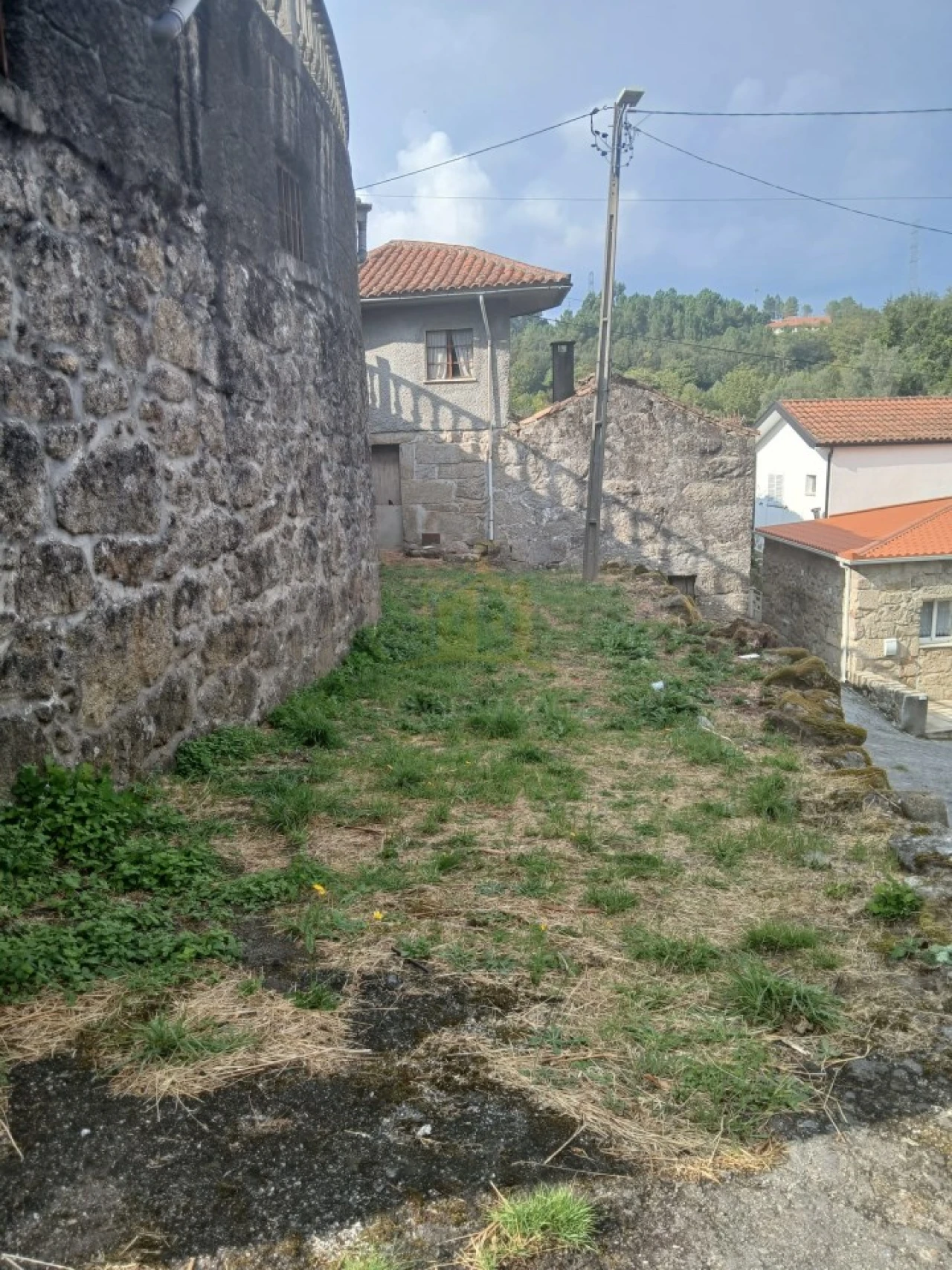 Terreno para Venda em Ruivães e Campos Foto 21