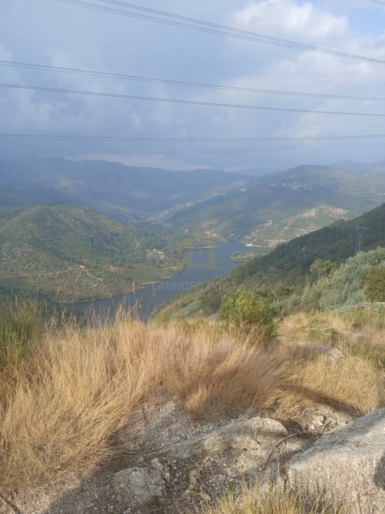 Terreno para Venda em Ruivães e Campos Foto 31