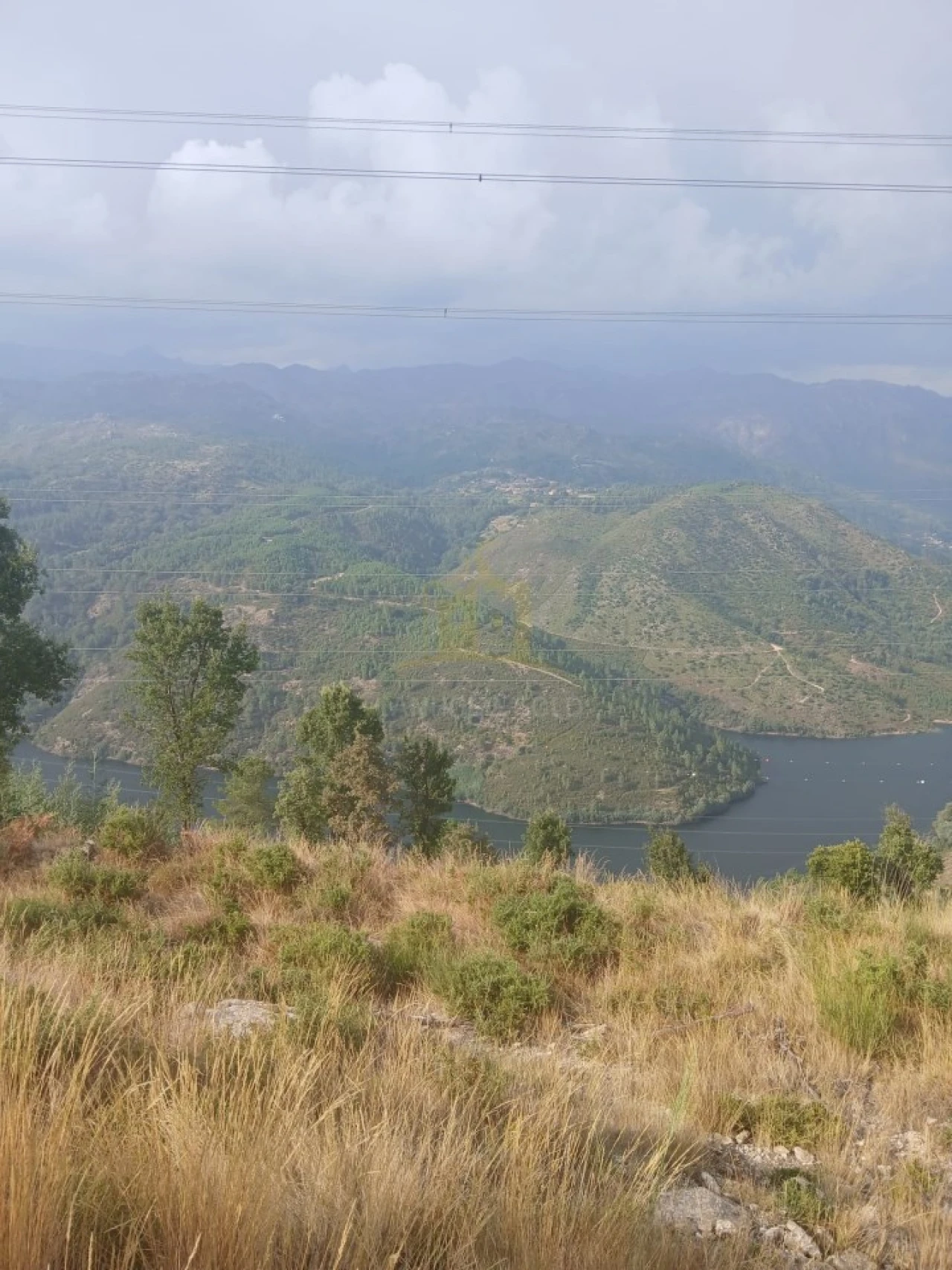 Terreno para Venda em Ruivães e Campos Foto 33