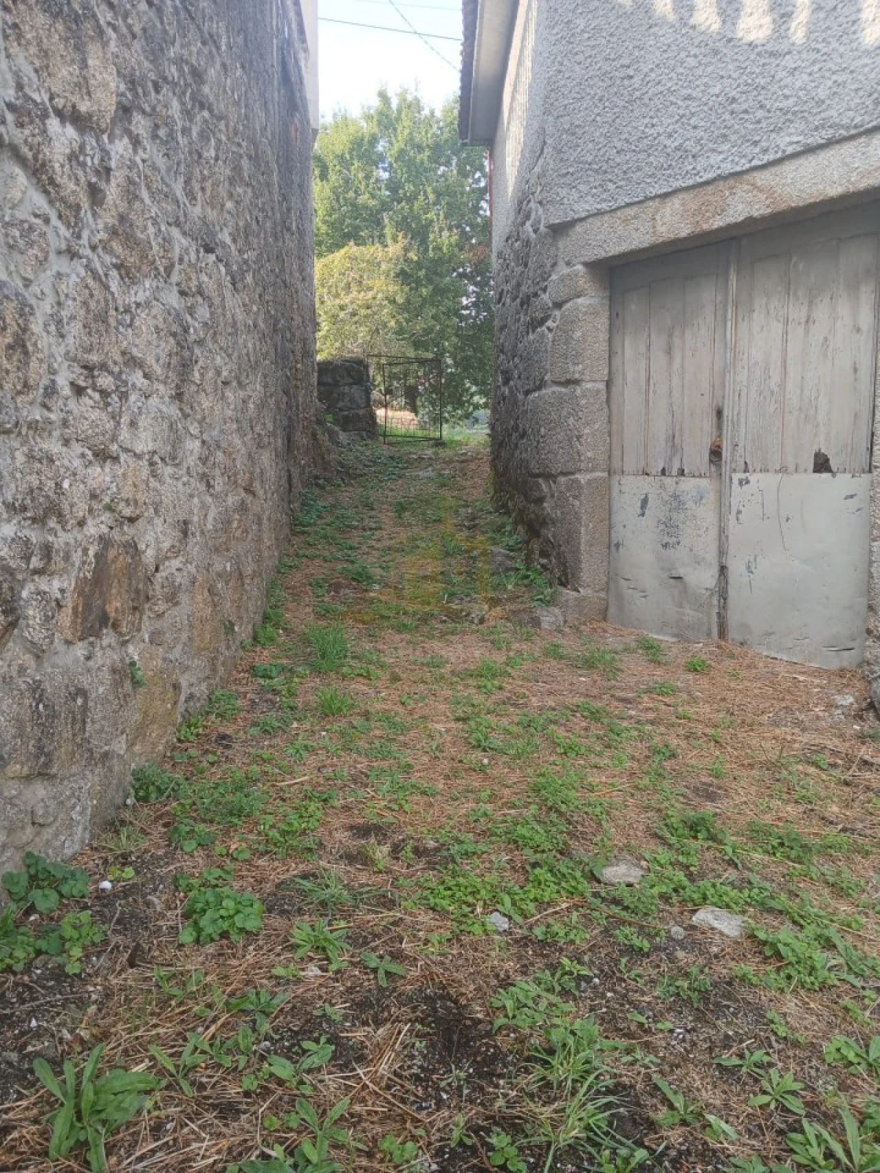 Terreno para Venda em Ruivães e Campos Foto 35