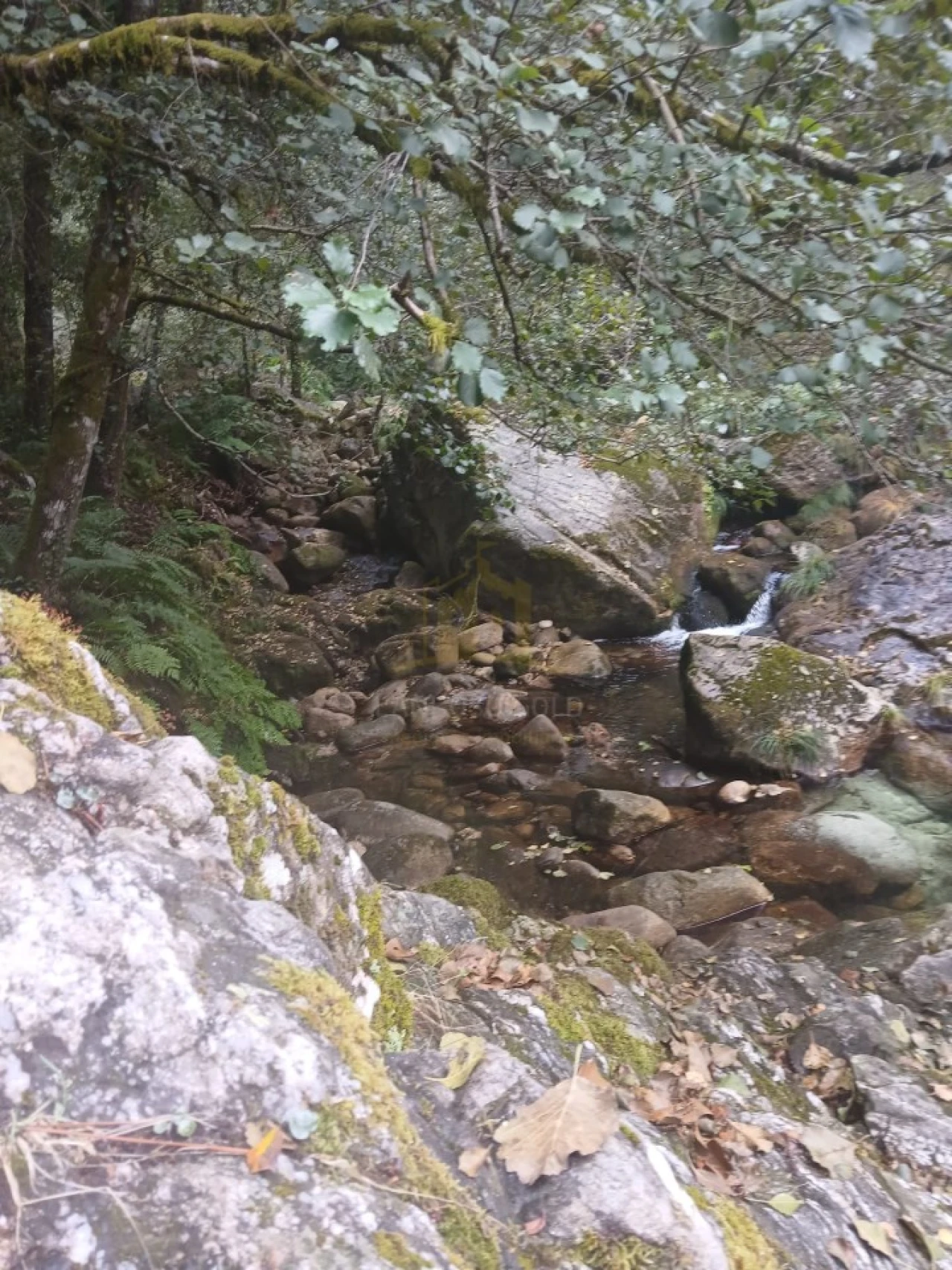 Terreno para Venda em Ruivães e Campos Foto 36