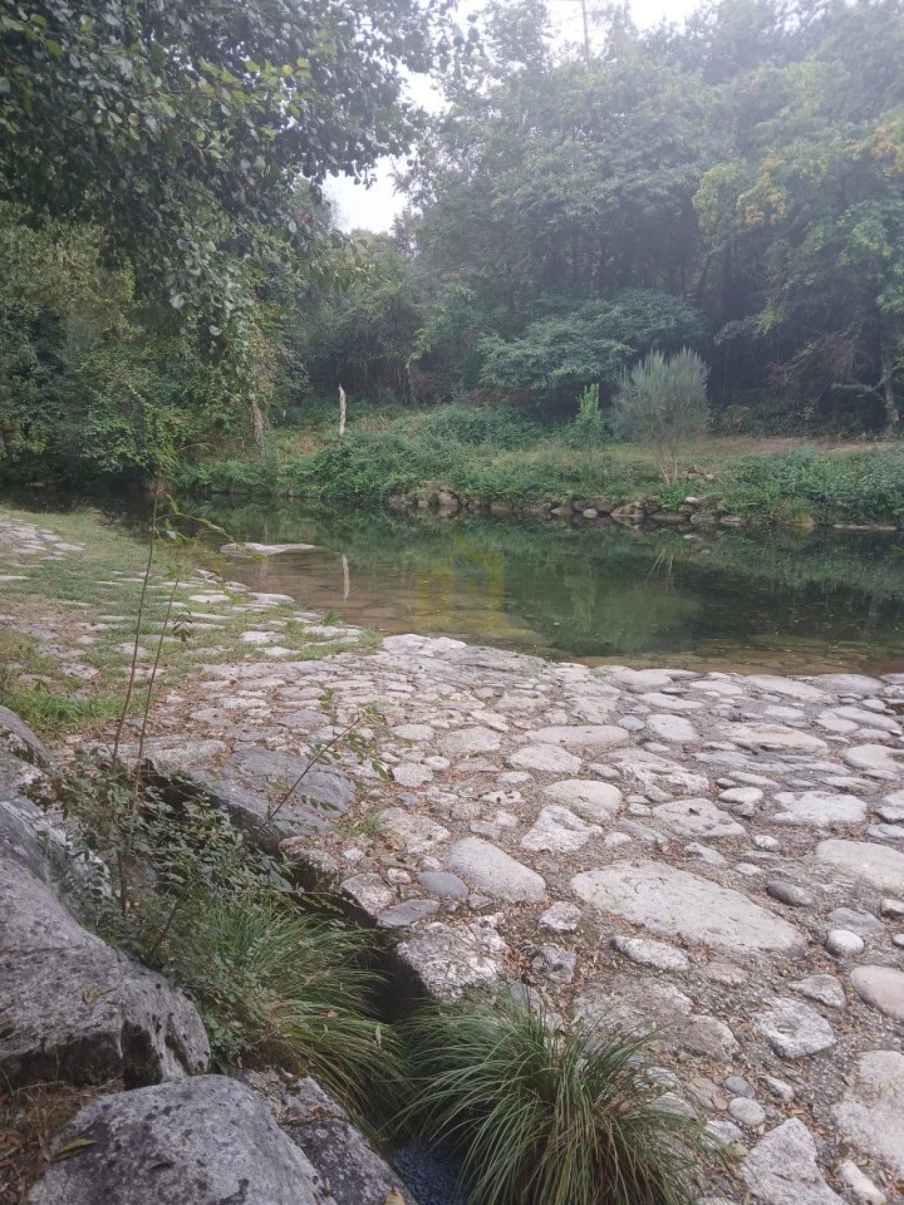 Terreno para Venda em Ruivães e Campos Foto 38