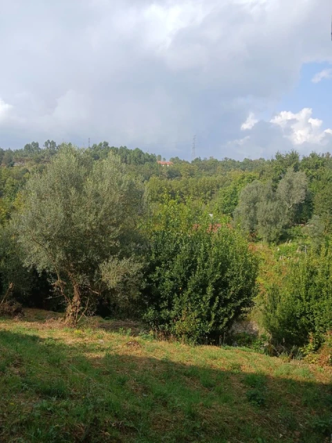 Terreno para Venda em Ruivães e Campos