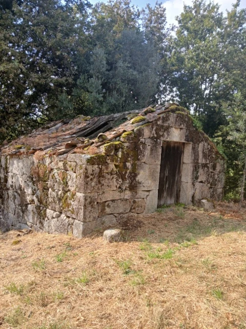 Terreno para Venda em Ruivães e Campos