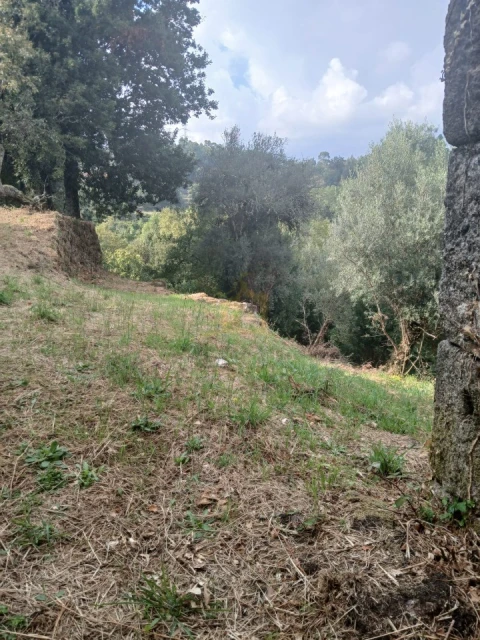 Terreno para Venda em Ruivães e Campos