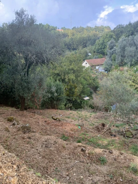 Terreno para Venda em Ruivães e Campos