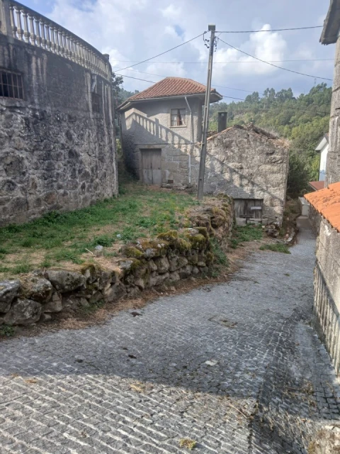 Terreno para Venda em Ruivães e Campos