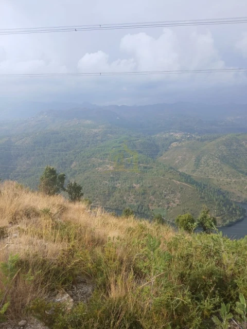 Terreno para Venda em Ruivães e Campos