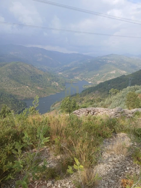 Terreno para Venda em Ruivães e Campos